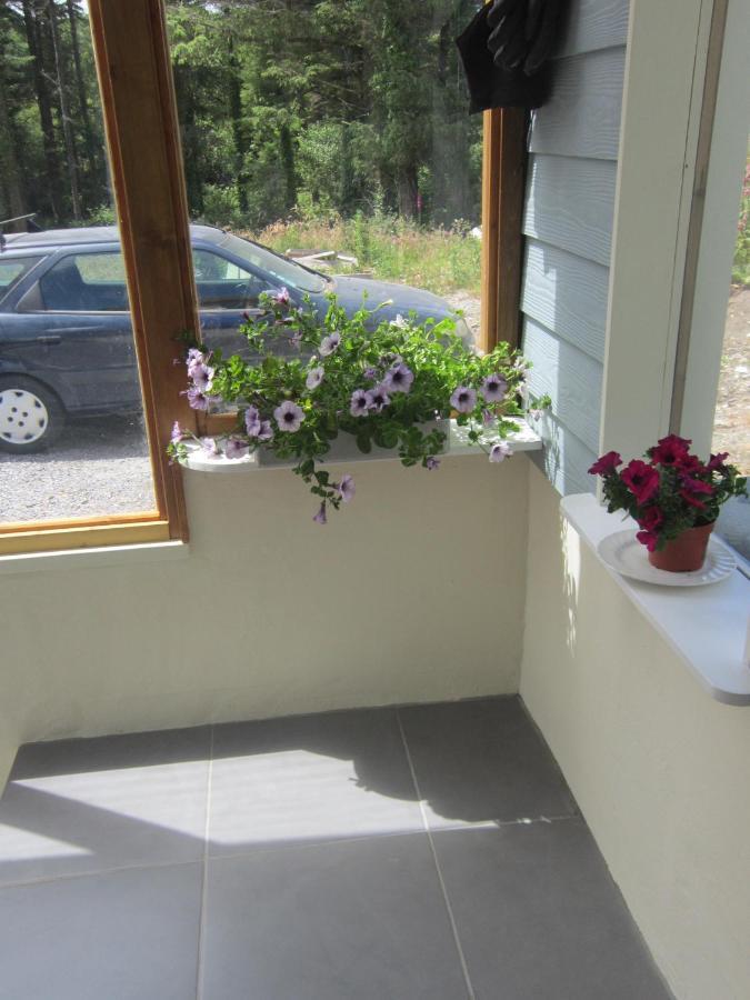 Croagh Bay Bed & Breakfast Schull Exterior foto